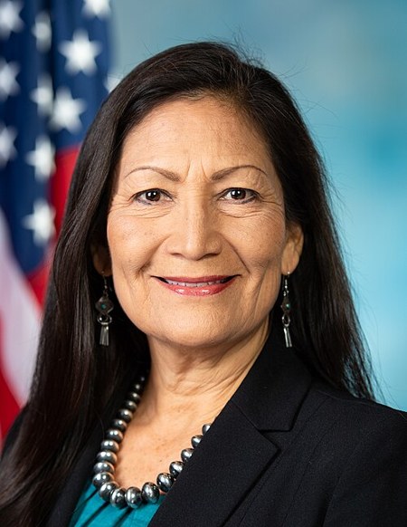 Debra A Haaland